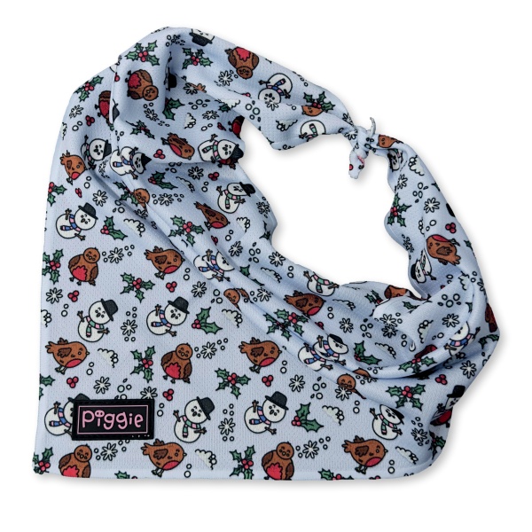 Mr Robin Dog Bandana